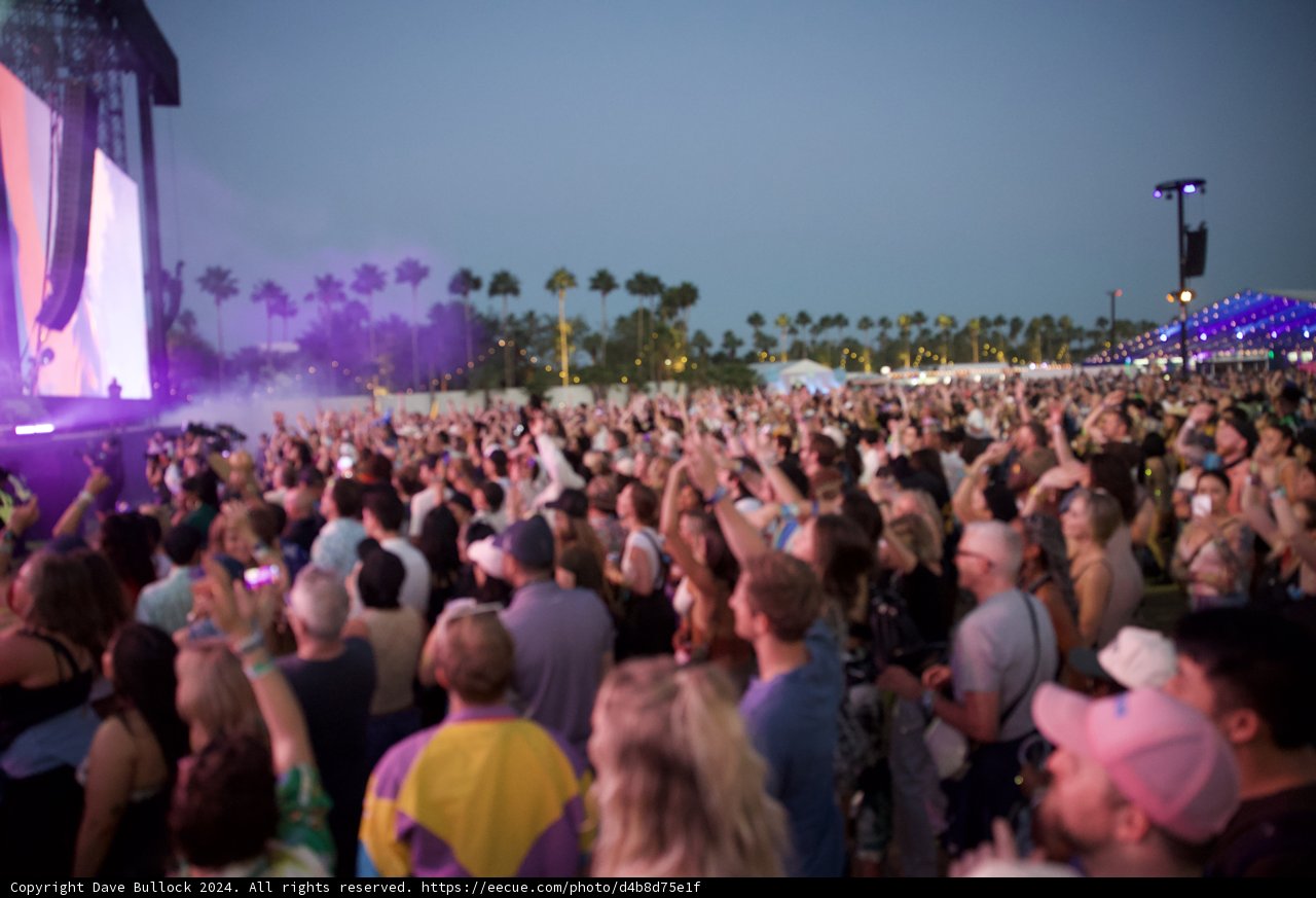 Electric Nights at Coachella 2024