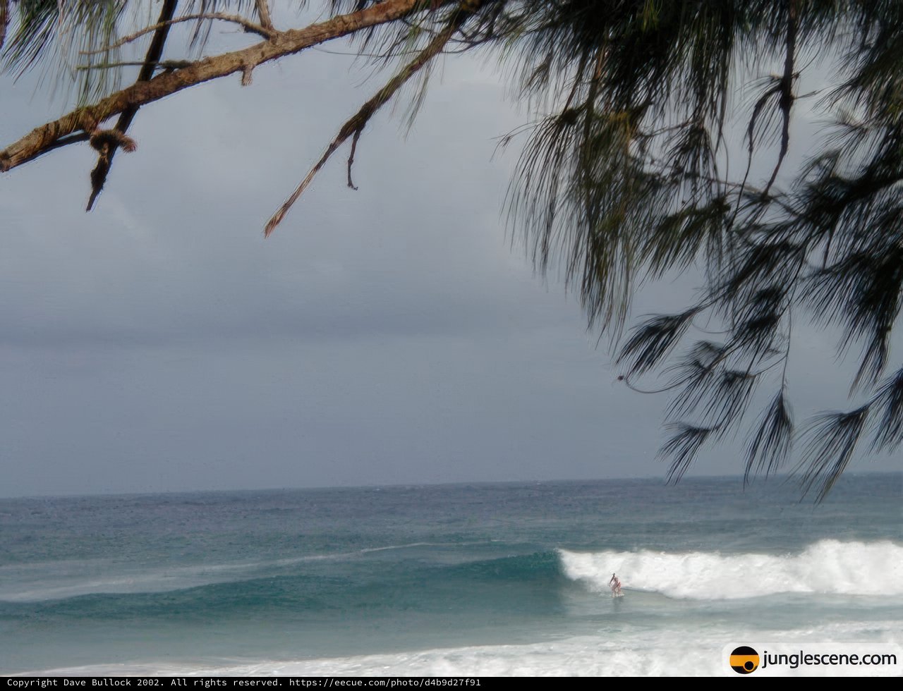 Riding the Waves