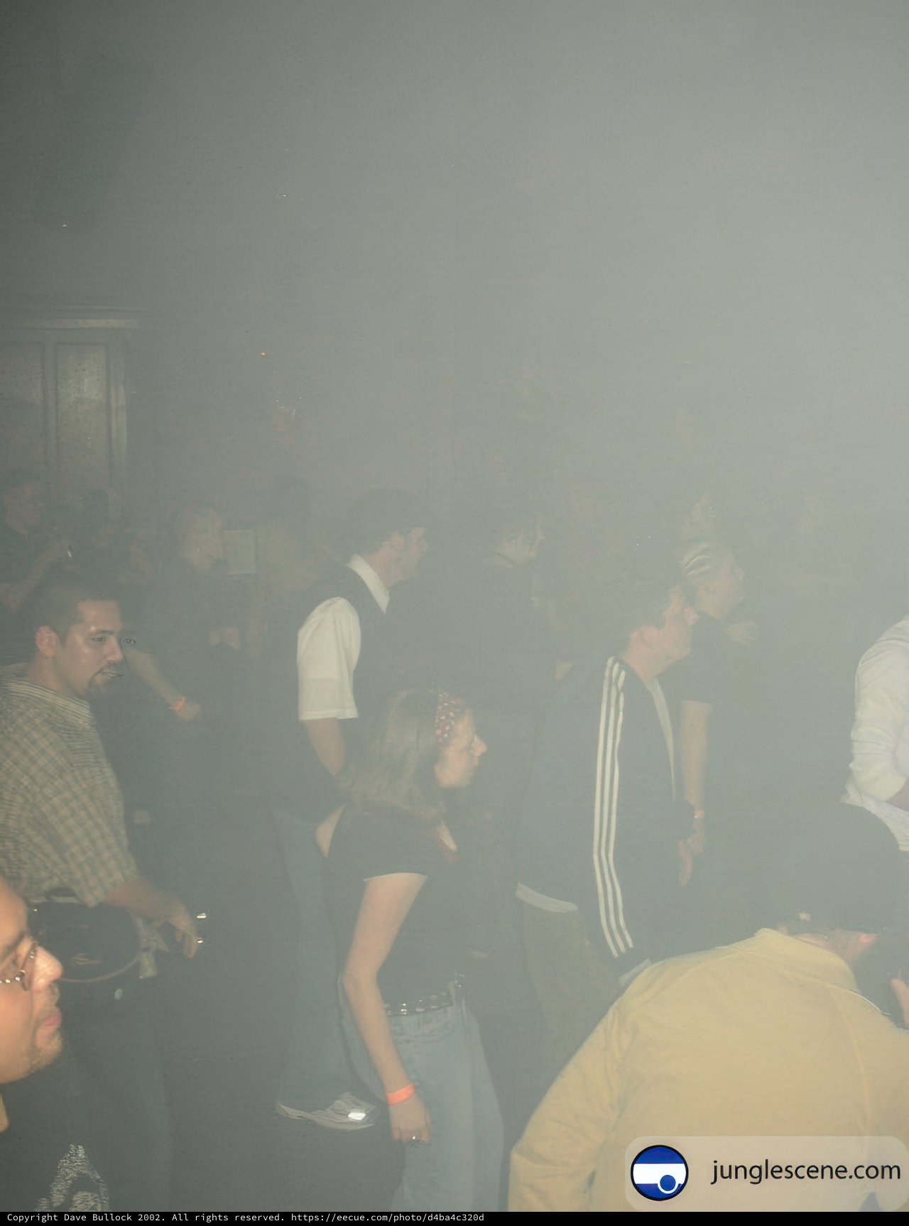 Nightclub Gathering