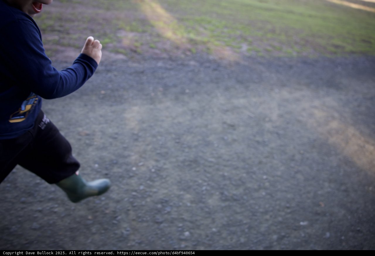 Joyful Steps at Thistlewyck