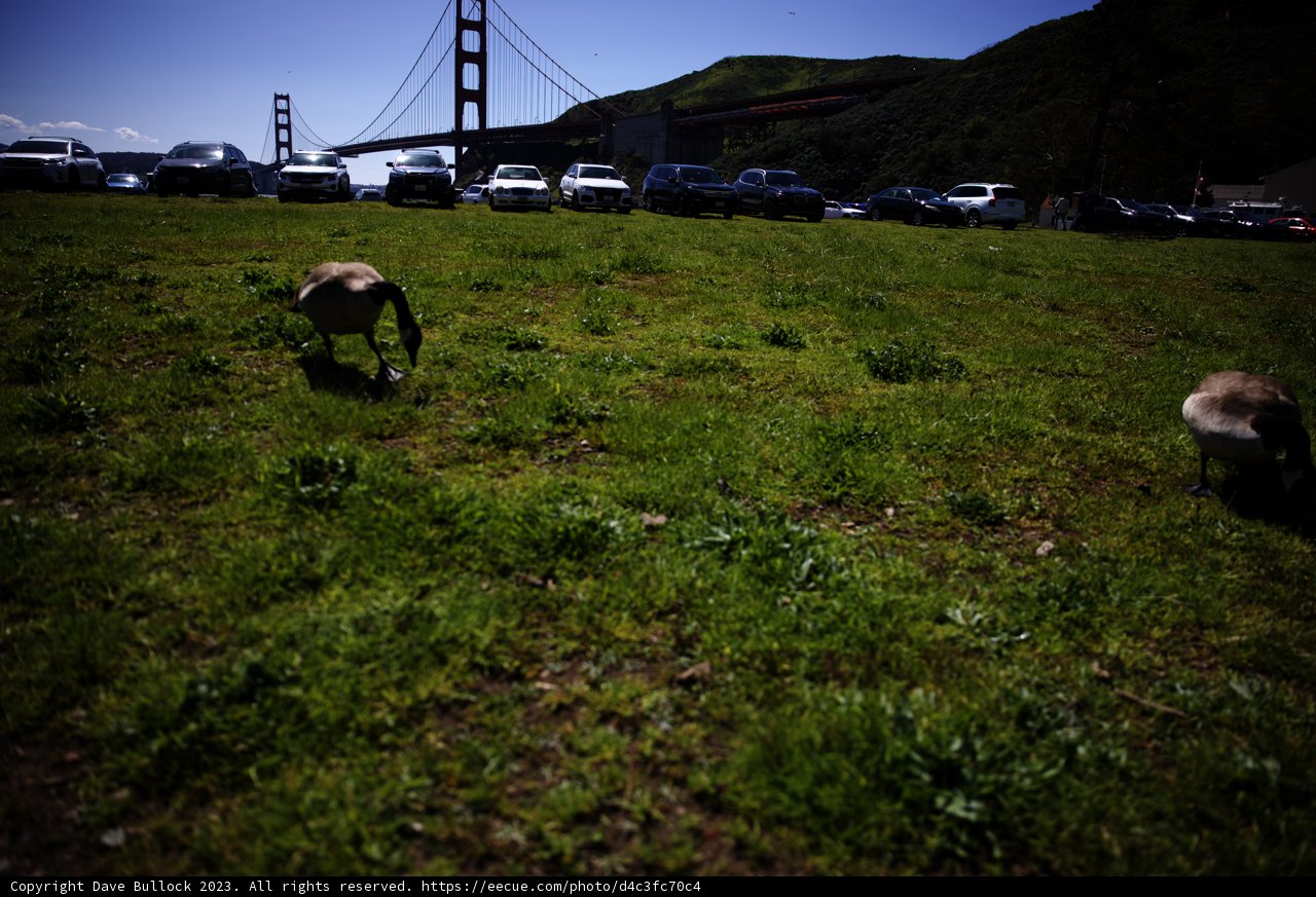 A Serene Moment in Marin Headlands