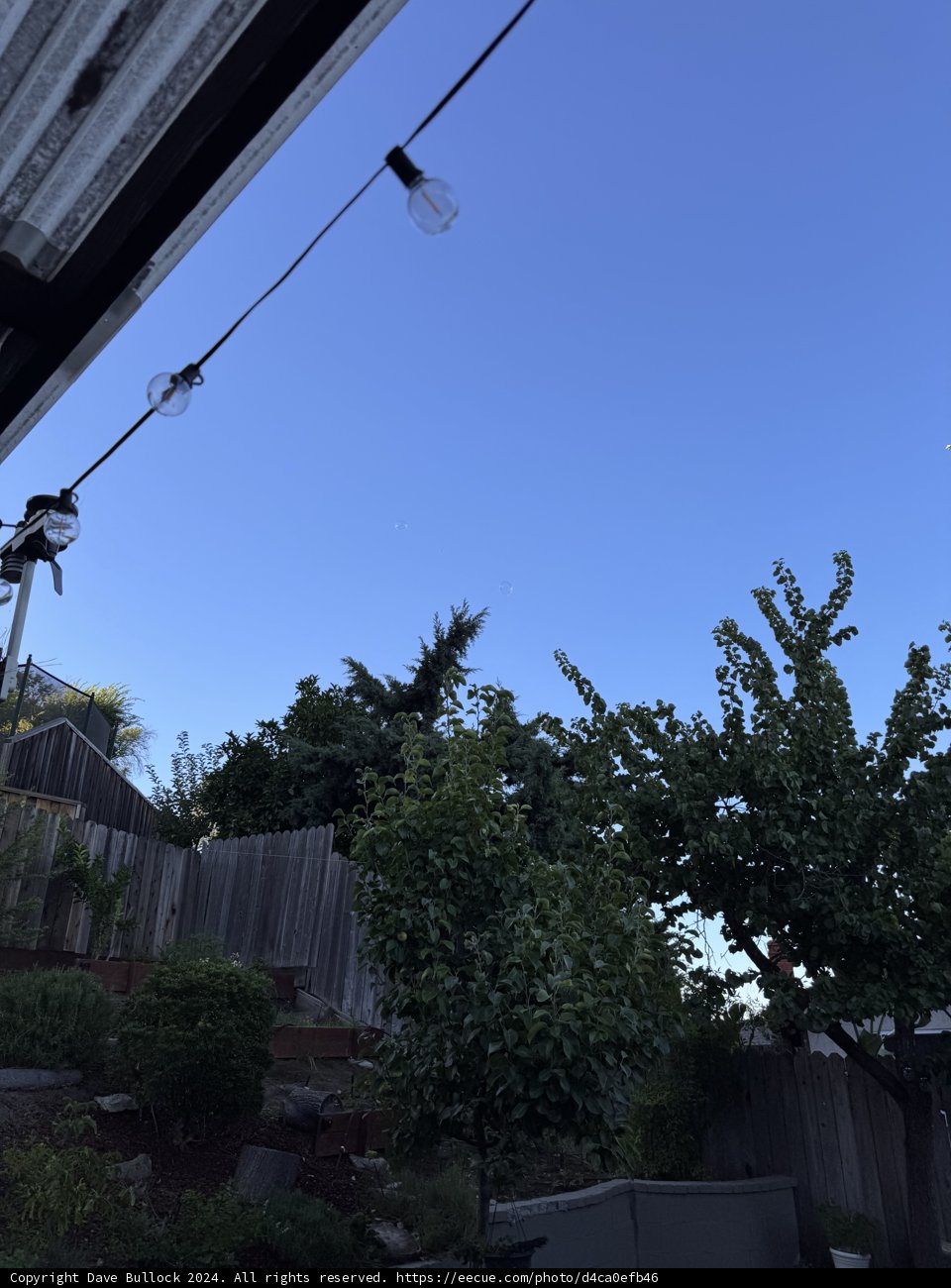 Twilight Serenity in the Backyard