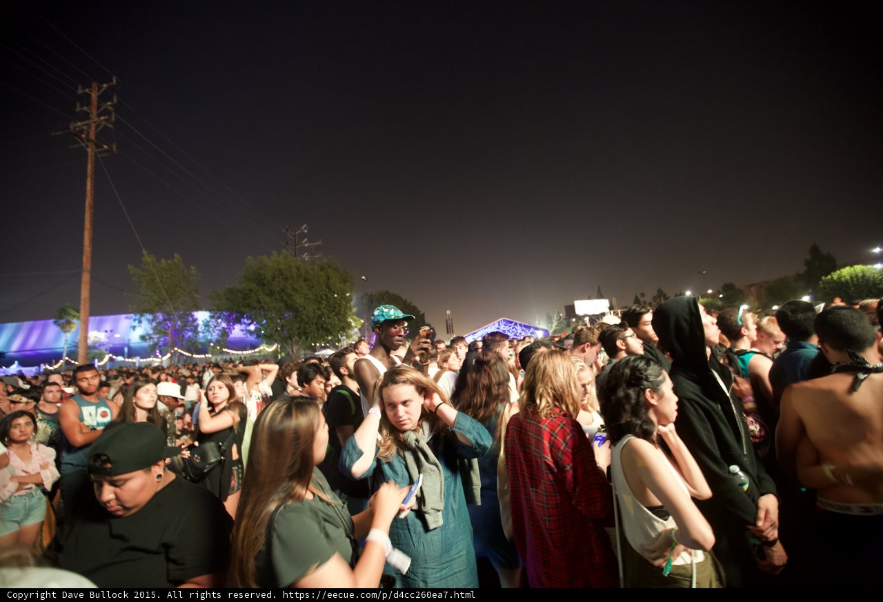 Tall Festival-Goer in Crowd