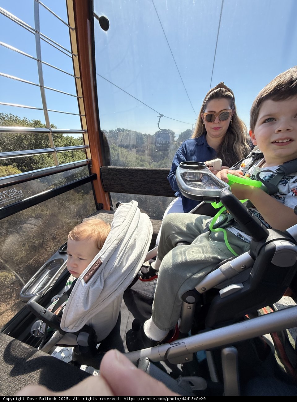 A Sunny Ride Above Oakland Zoo
