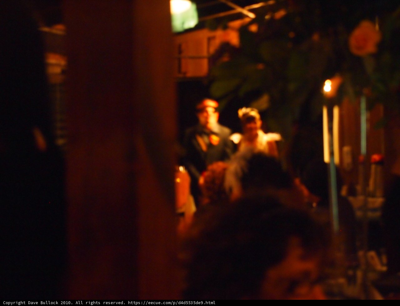 Nightlife in the Urban Jungle