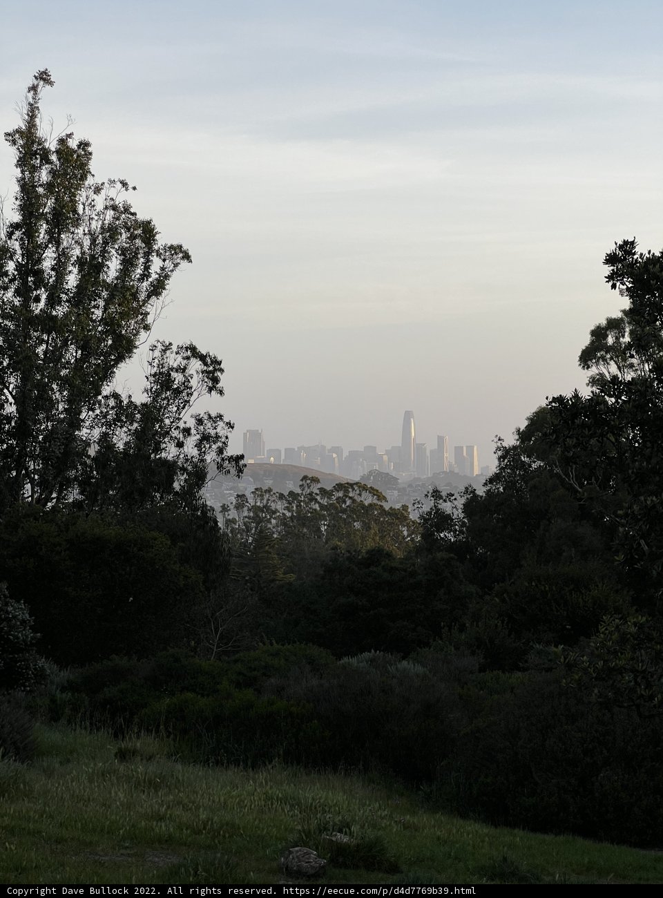 A Serene Cityscape