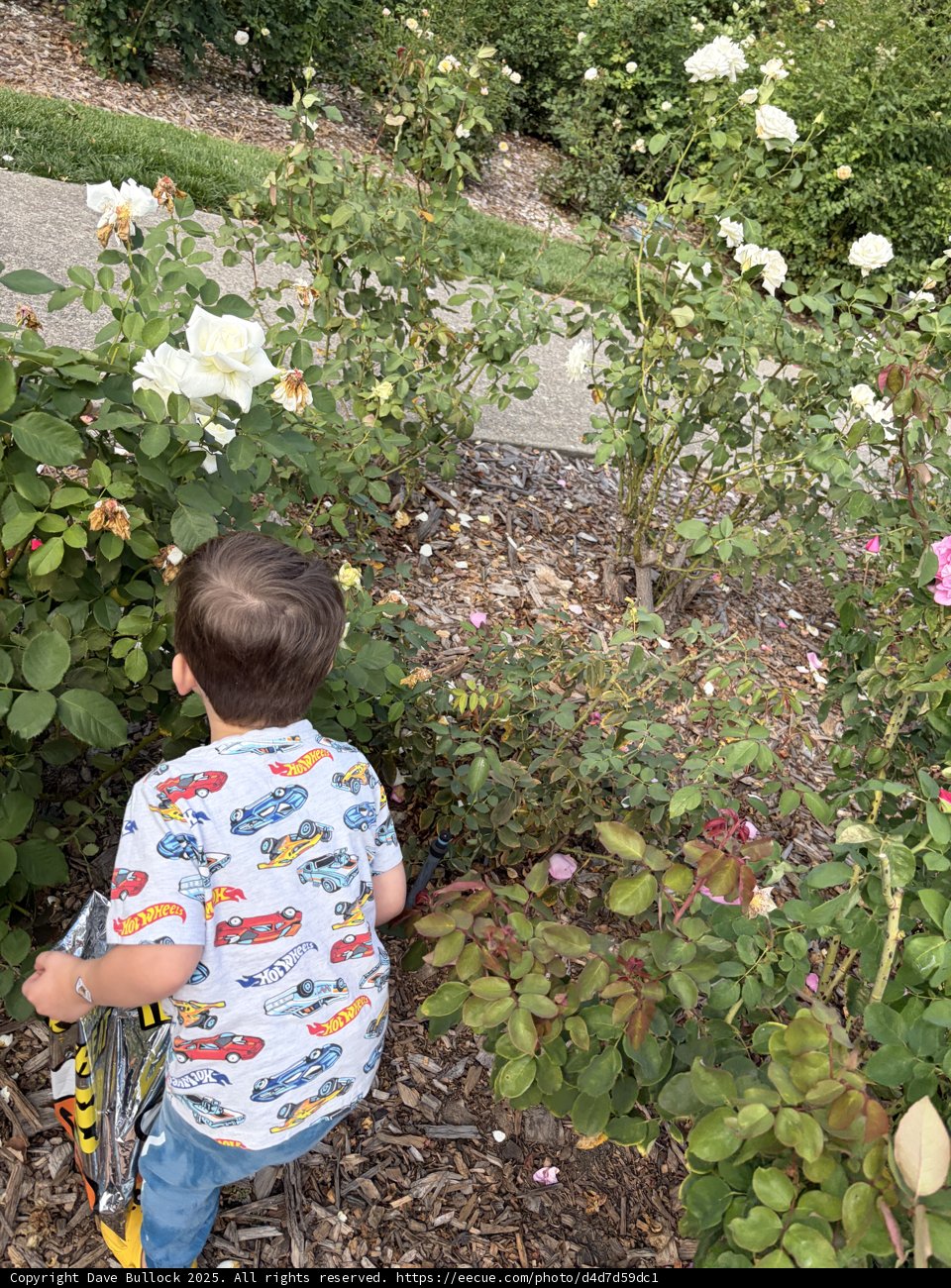 Garden Adventures at Heather Farm Park