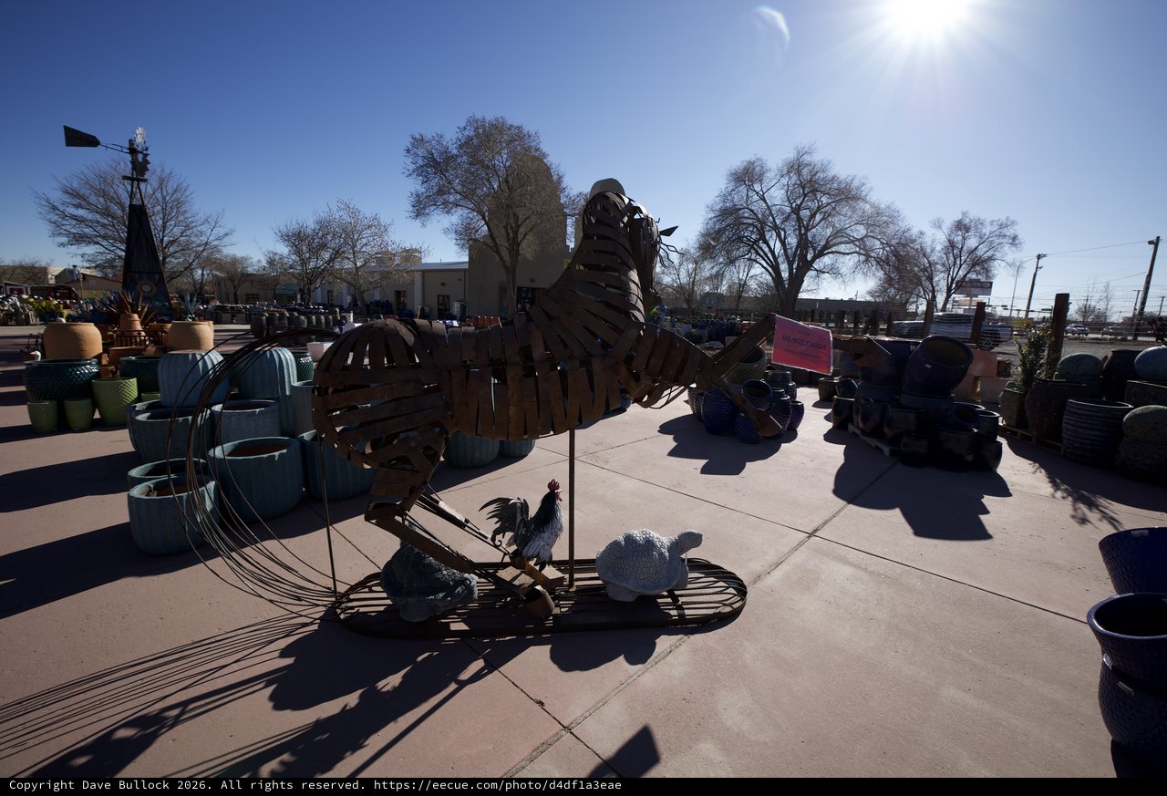 Metal Sculpture Garden Display in Southwest Sunlight