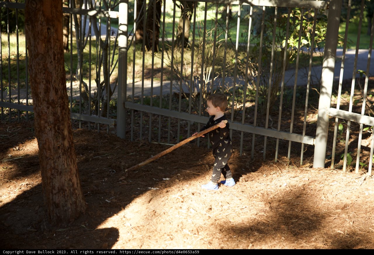 Adventures at the Zoo: Wesley's Wooden Wand