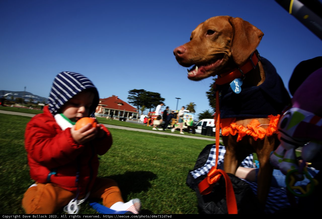 A Sunny Afternoon in Presidio Park