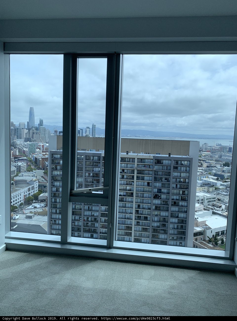 Urban Sanctuary