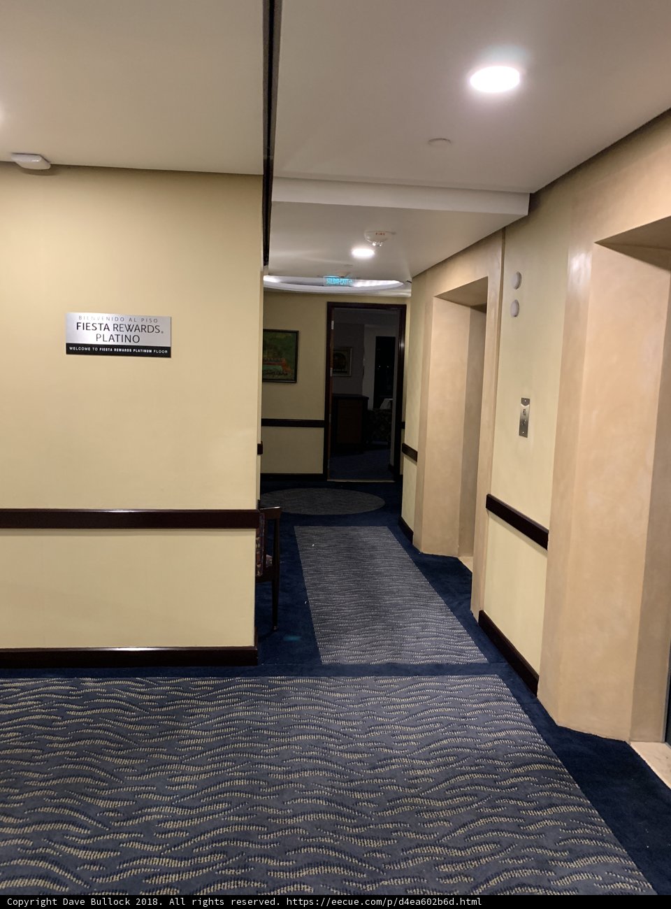 Blue Carpet Corridor