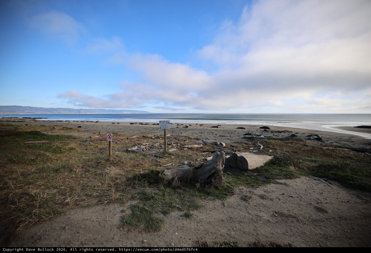 Coastal Serenity at Drakes Beach Elephant Seal Habitat