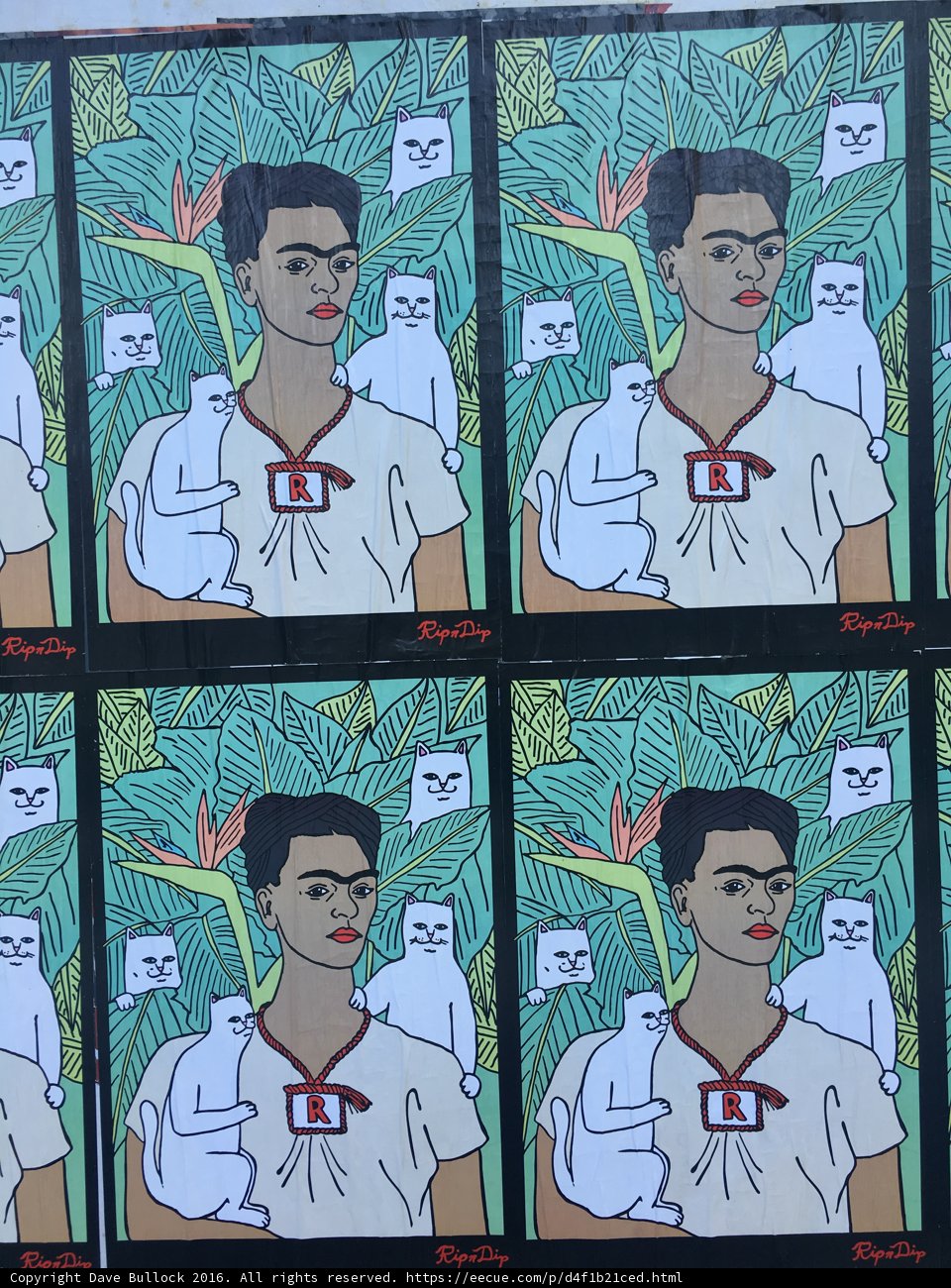 Frida Kahlo's Feline and Canine Companions