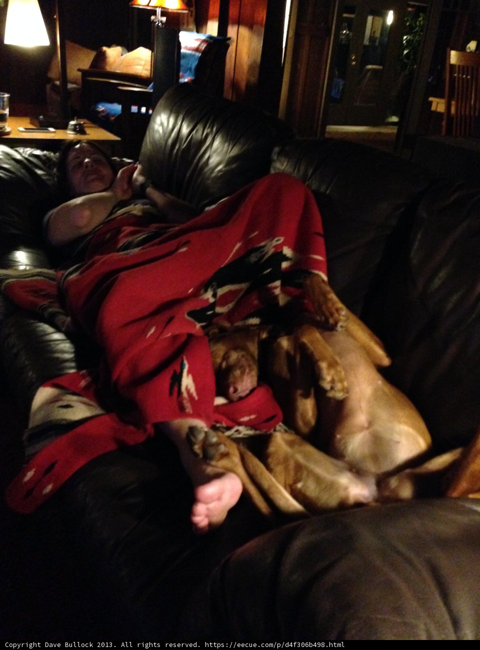 Man and his furry friend relaxing on the couch