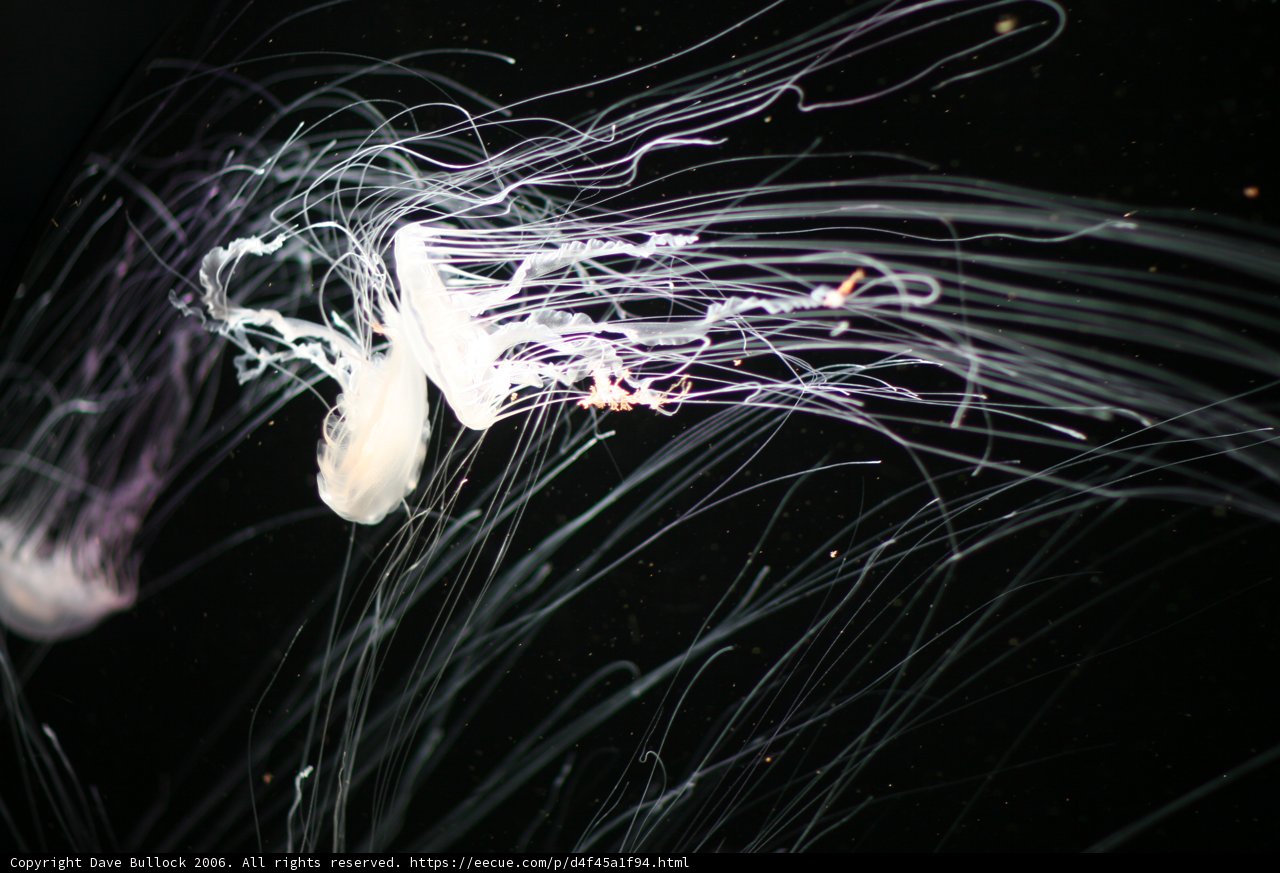 Grace in the Depths