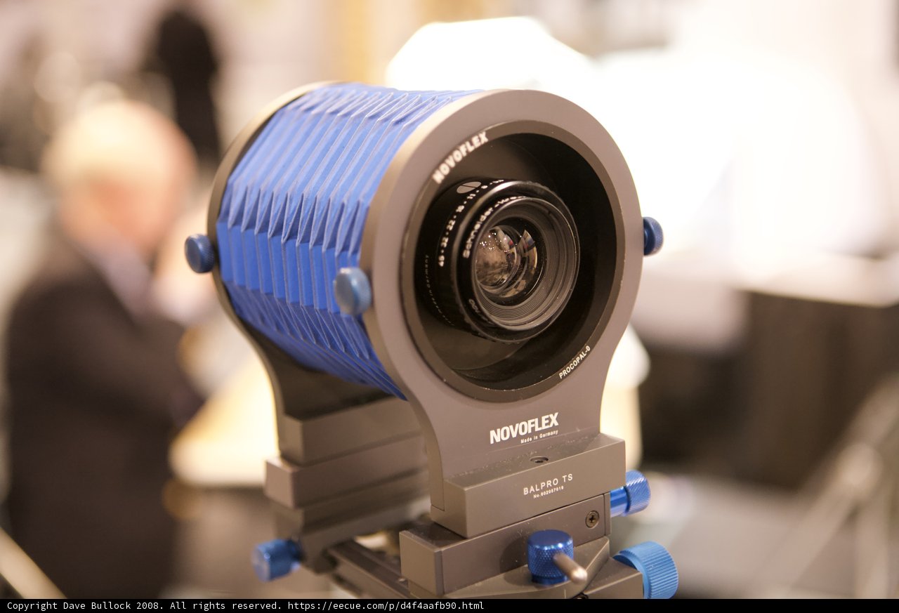 Capturing Memories with a Blue and White Lens