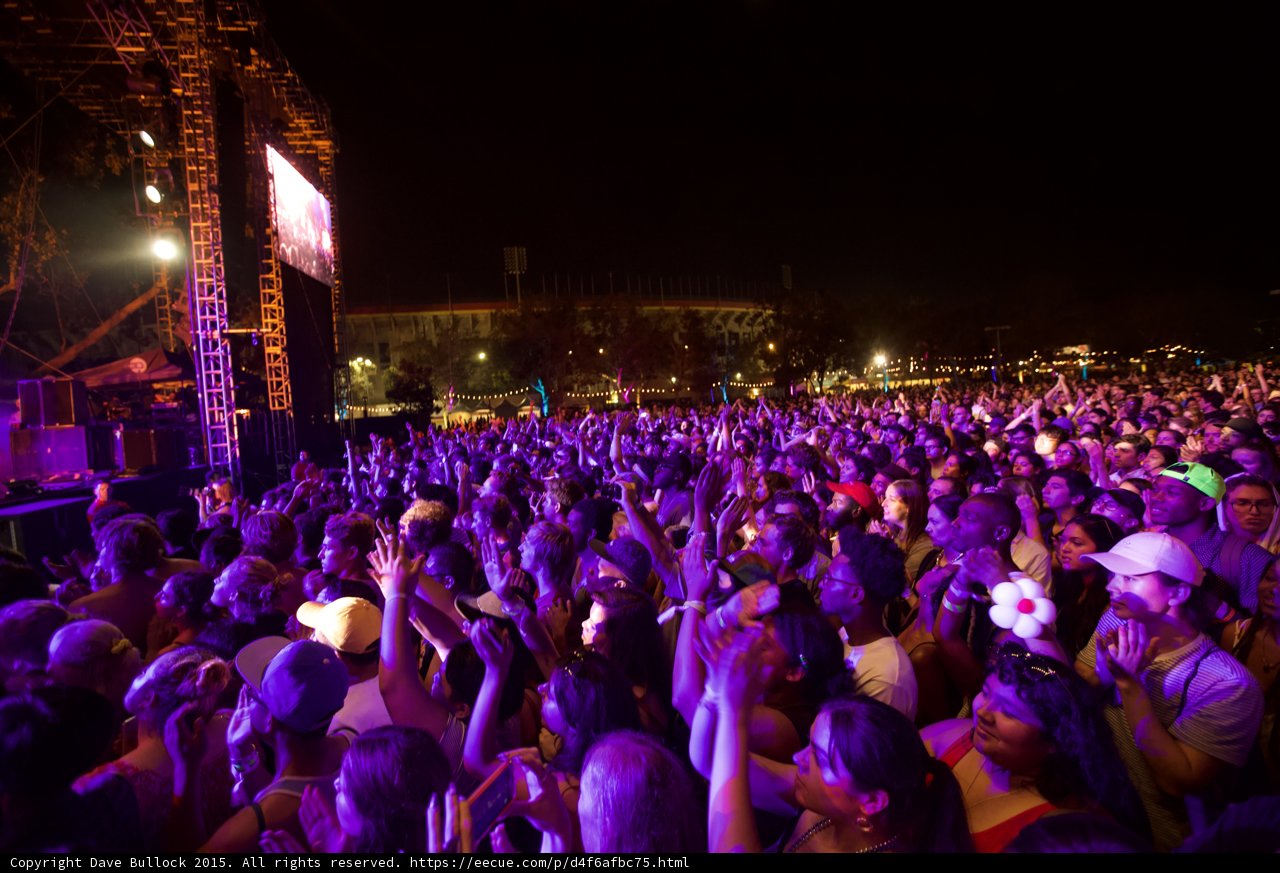 FYF Fest Wide Crowd Shot Scaffolding Video Screen Flower Accessory Purple