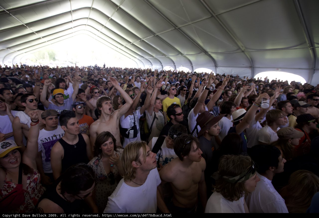 Hands up in the Crowd