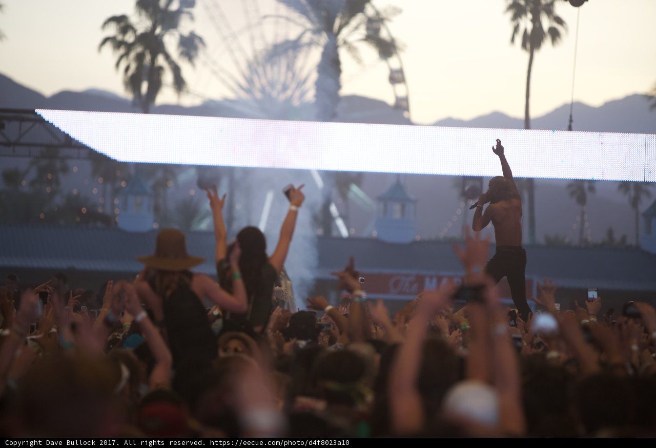Palm Tree Party