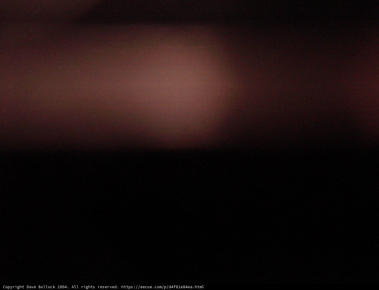 Unseen Blooms in the Dark Room