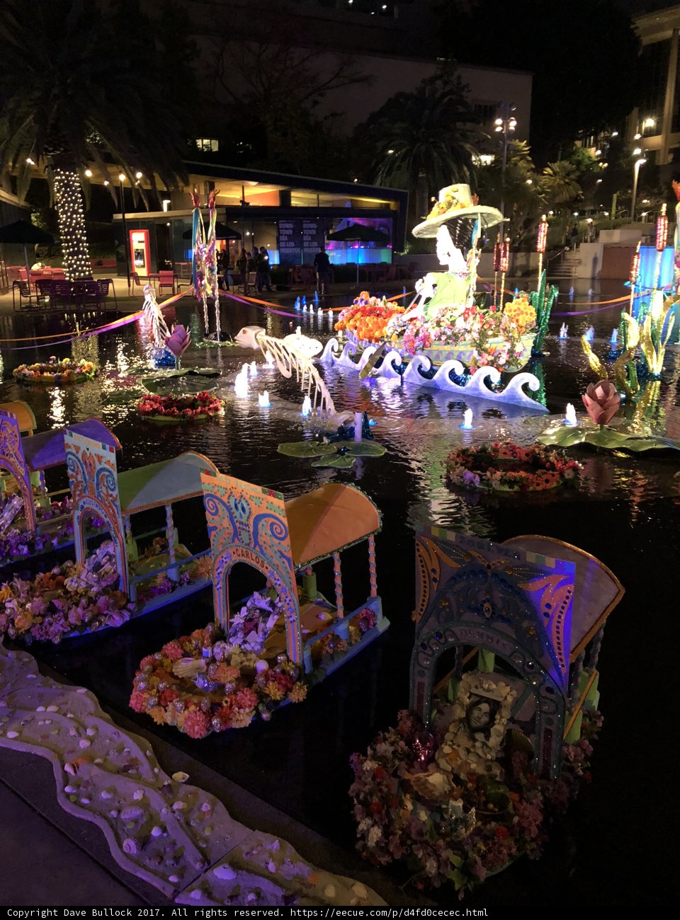 Blooming Float