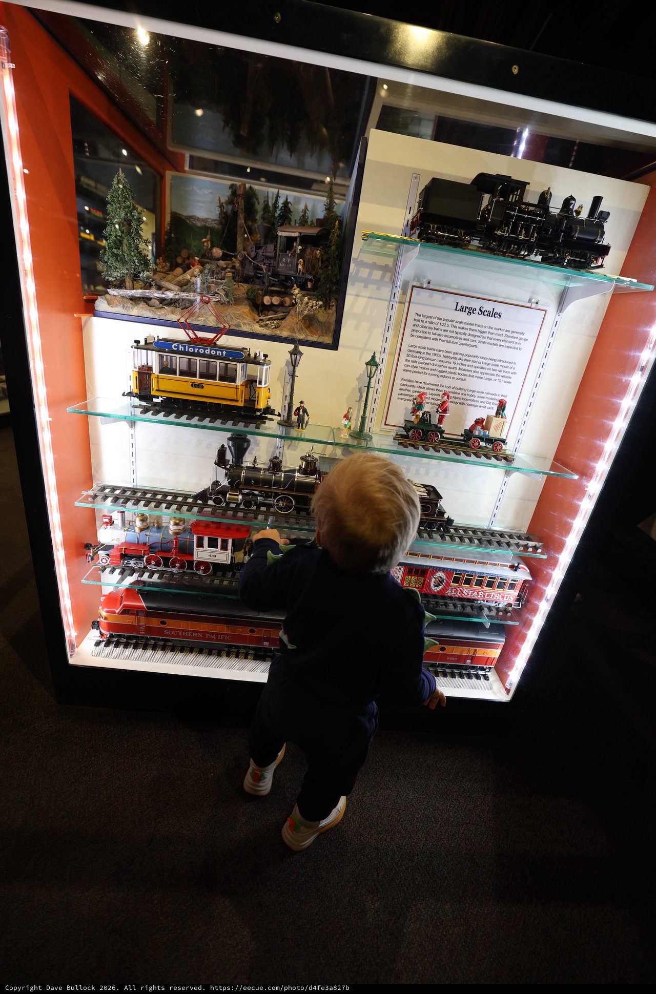 Child Explores Vintage Train Models at Museum Display