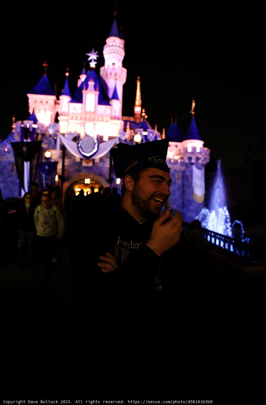 Magical Selfie Moment at Disneyland