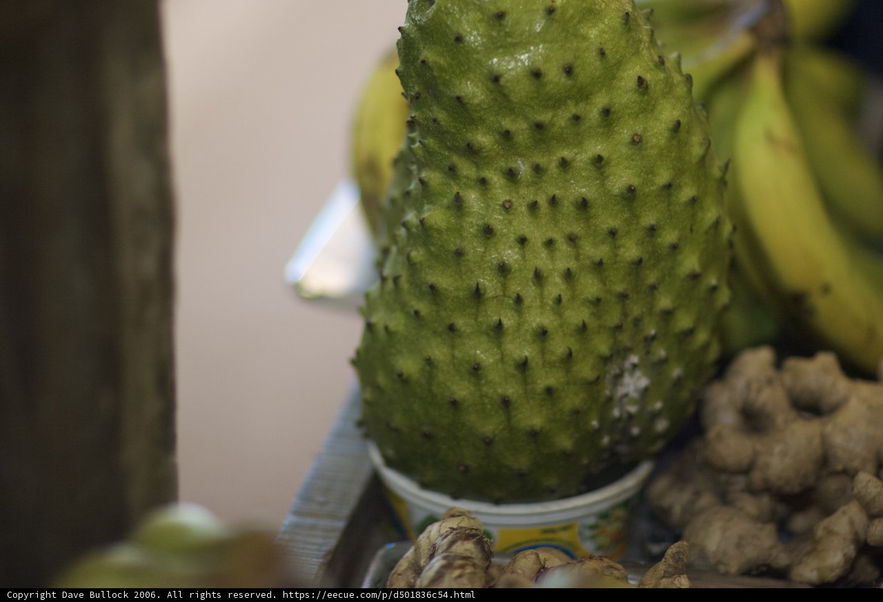 Exotic Durian Fruit from Fiji