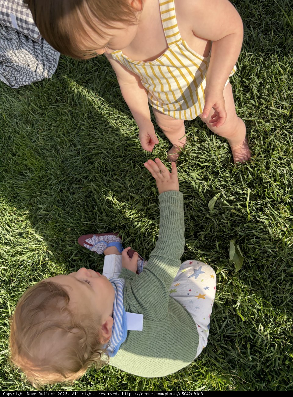 Playful Encounters on the Green