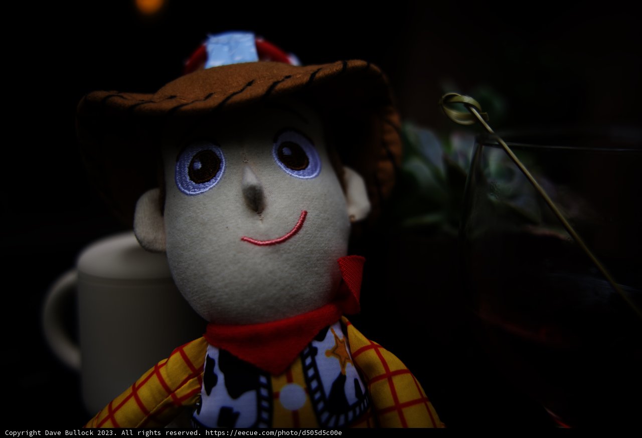 Howdy Partner! Woody Joins the Fun
