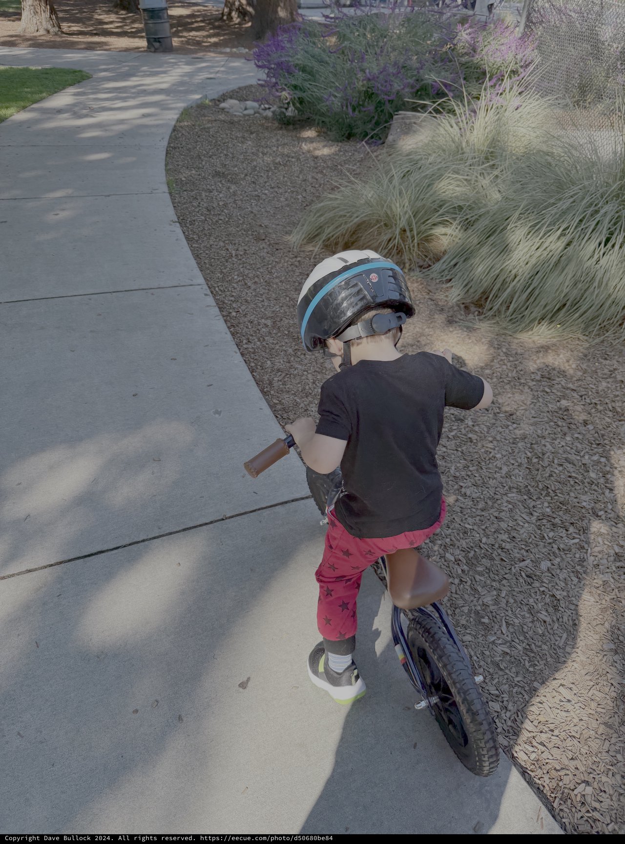Young Child Learning to Ride Bicycle with Helmet