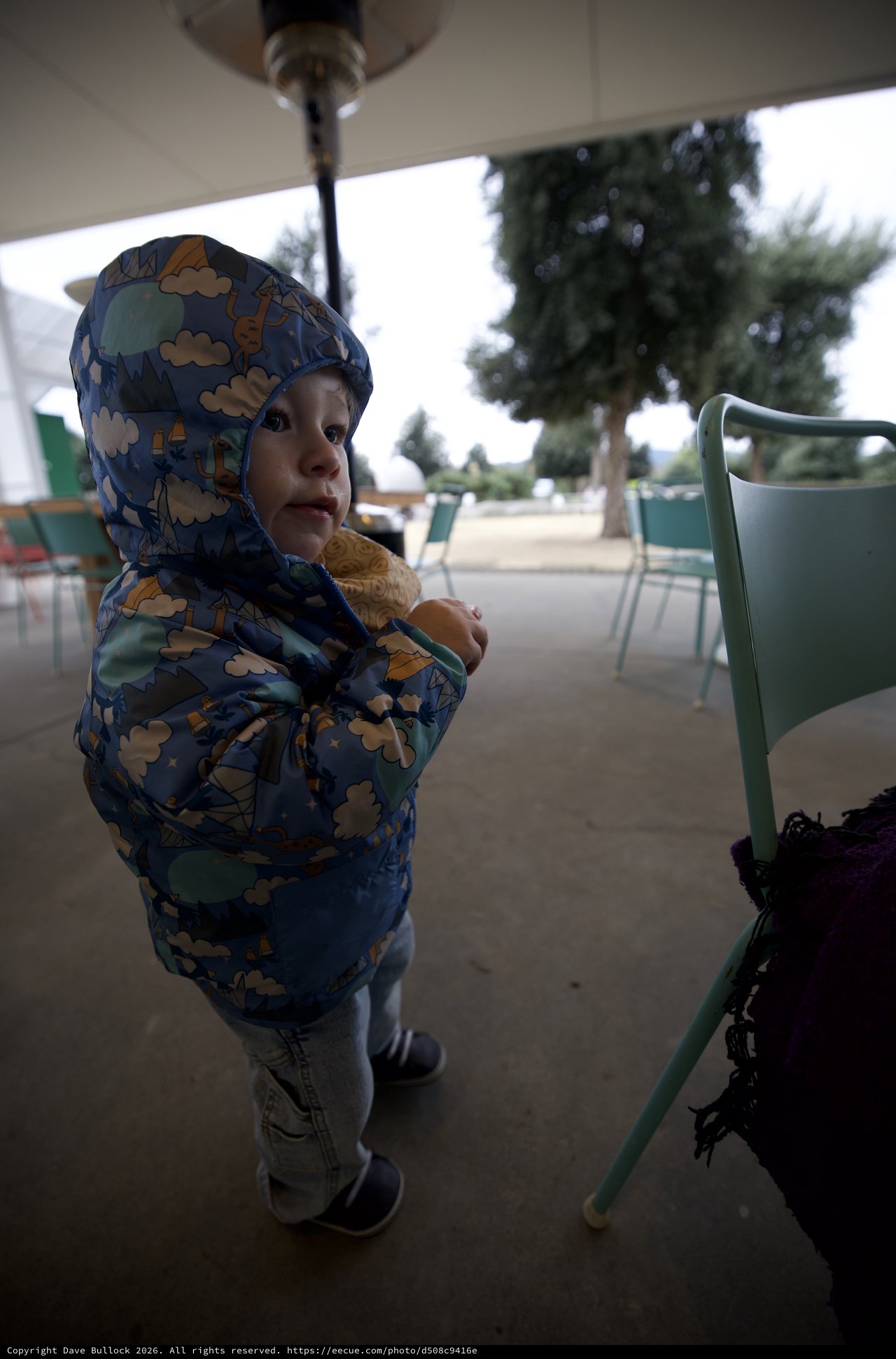 Toddler in Dinosaur Hoodie at Outdoor Café