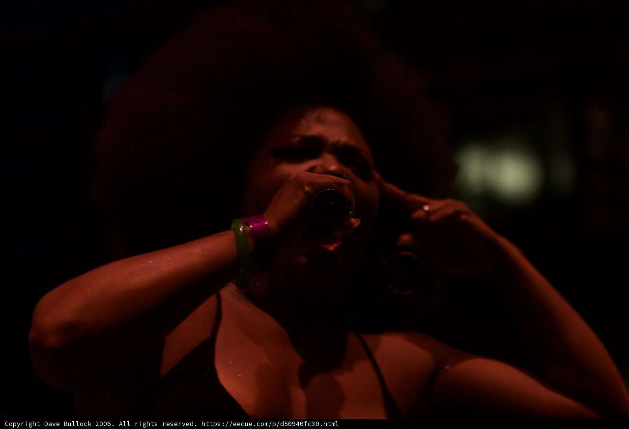 Detour 2 Nightlife Singer