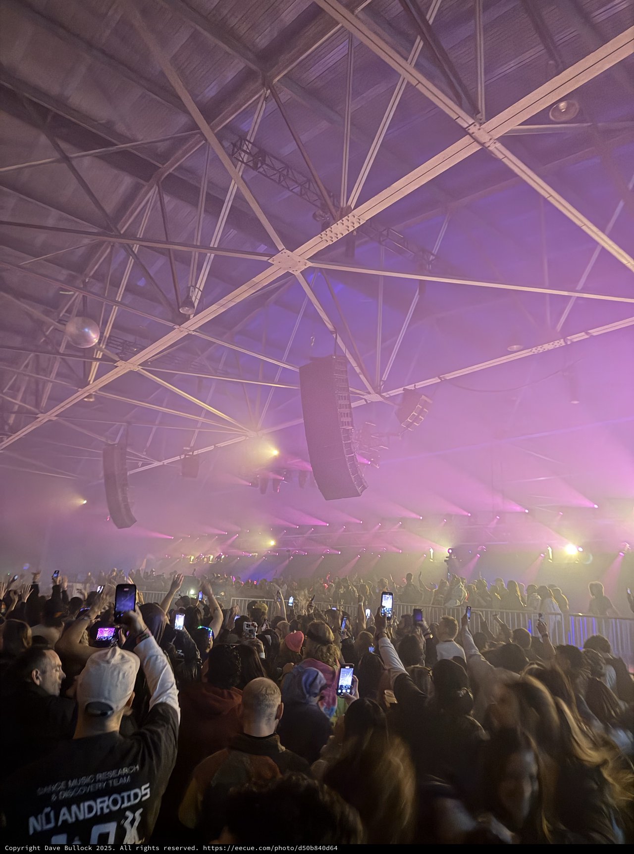 Electronic Music Concert with Purple Haze and Crowd