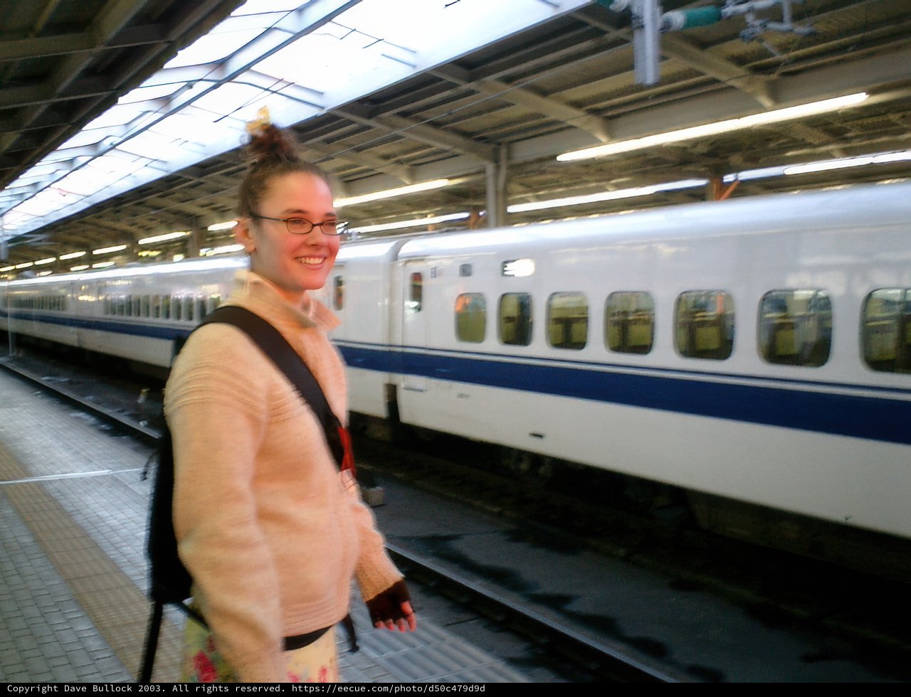 Catching a Bullet Train in Tokyo