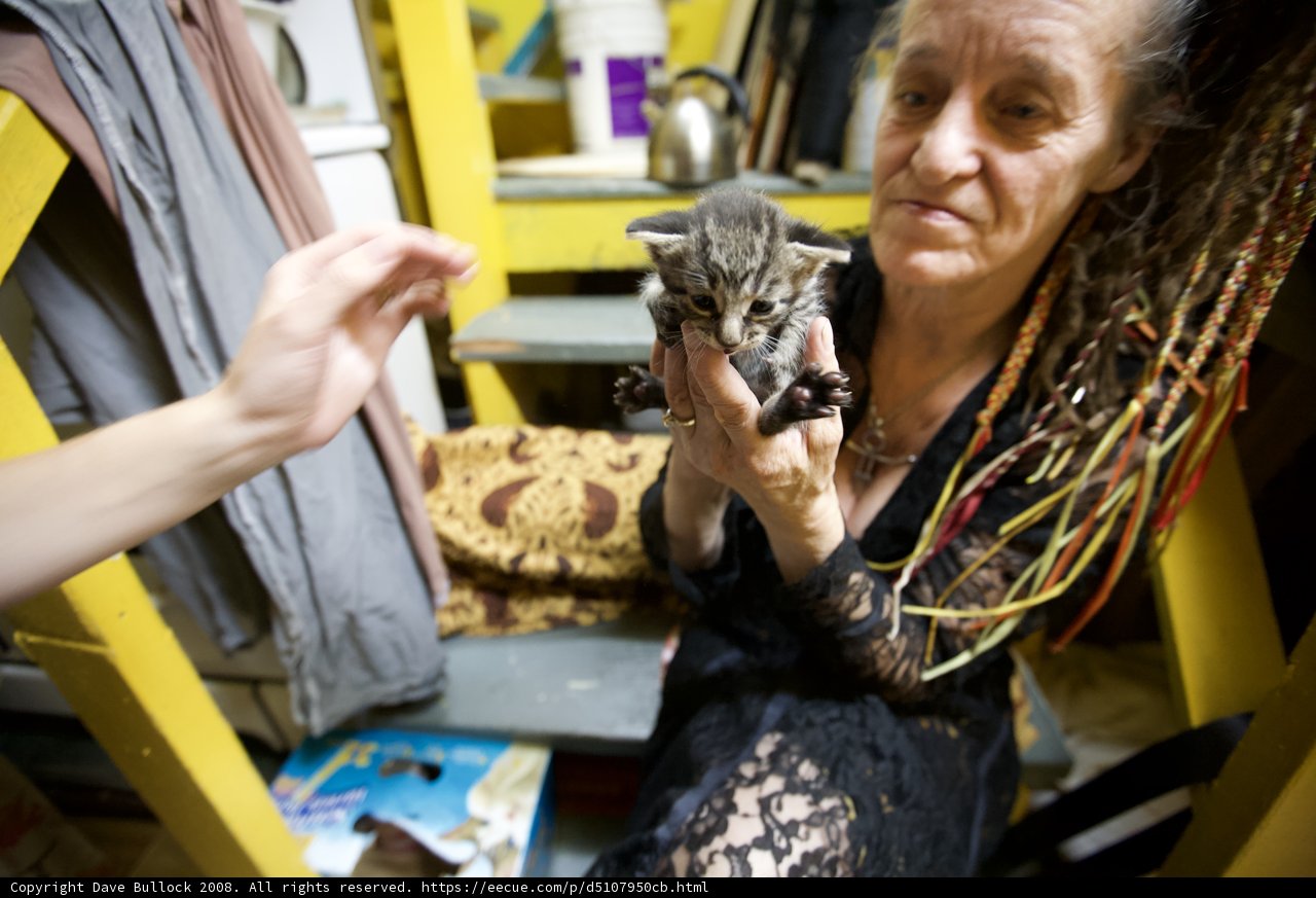 Woman and Kitten Bonding