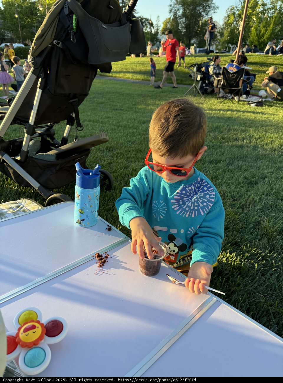Summer Sweets in the Park