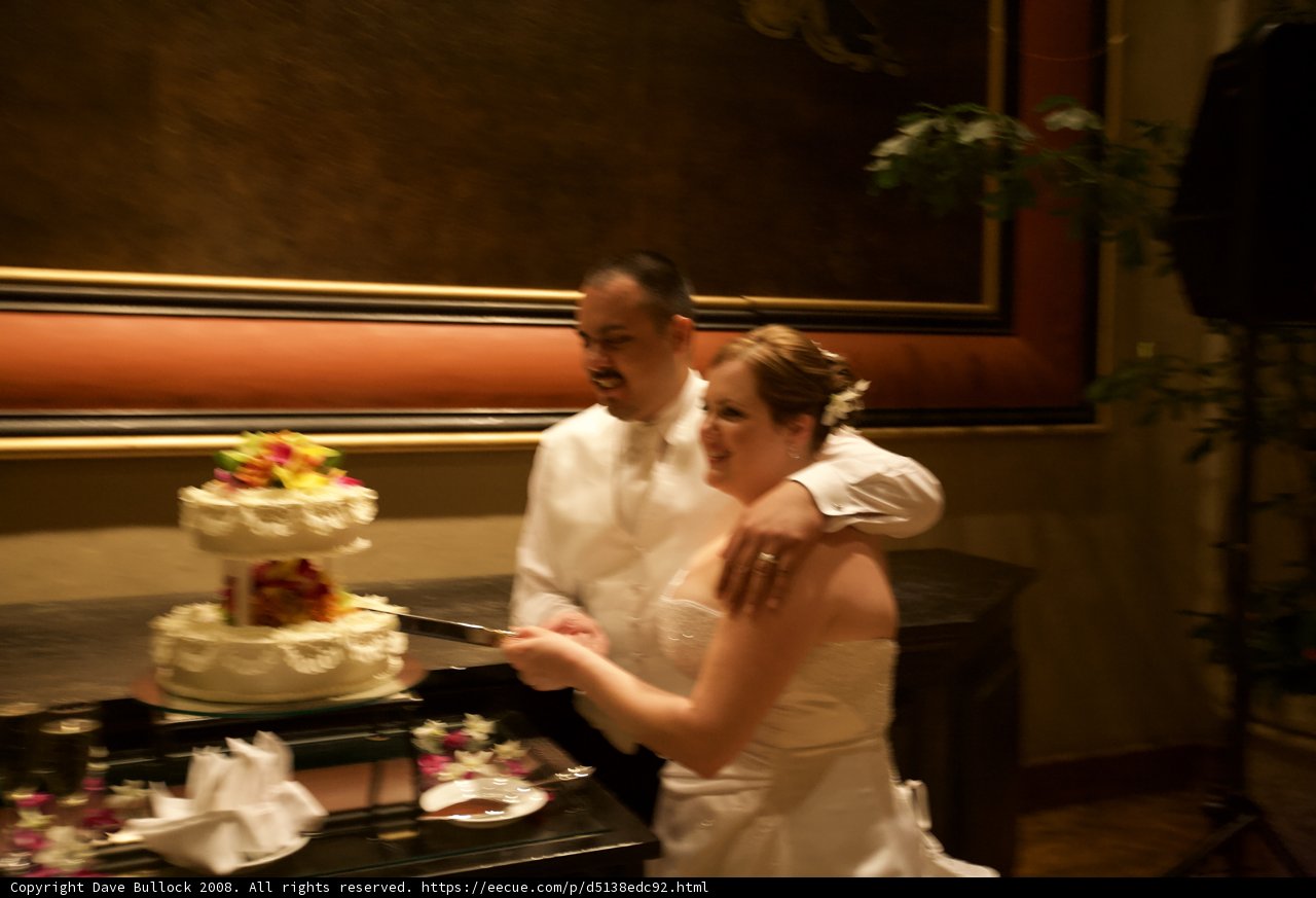 Wedding Cake Cutting