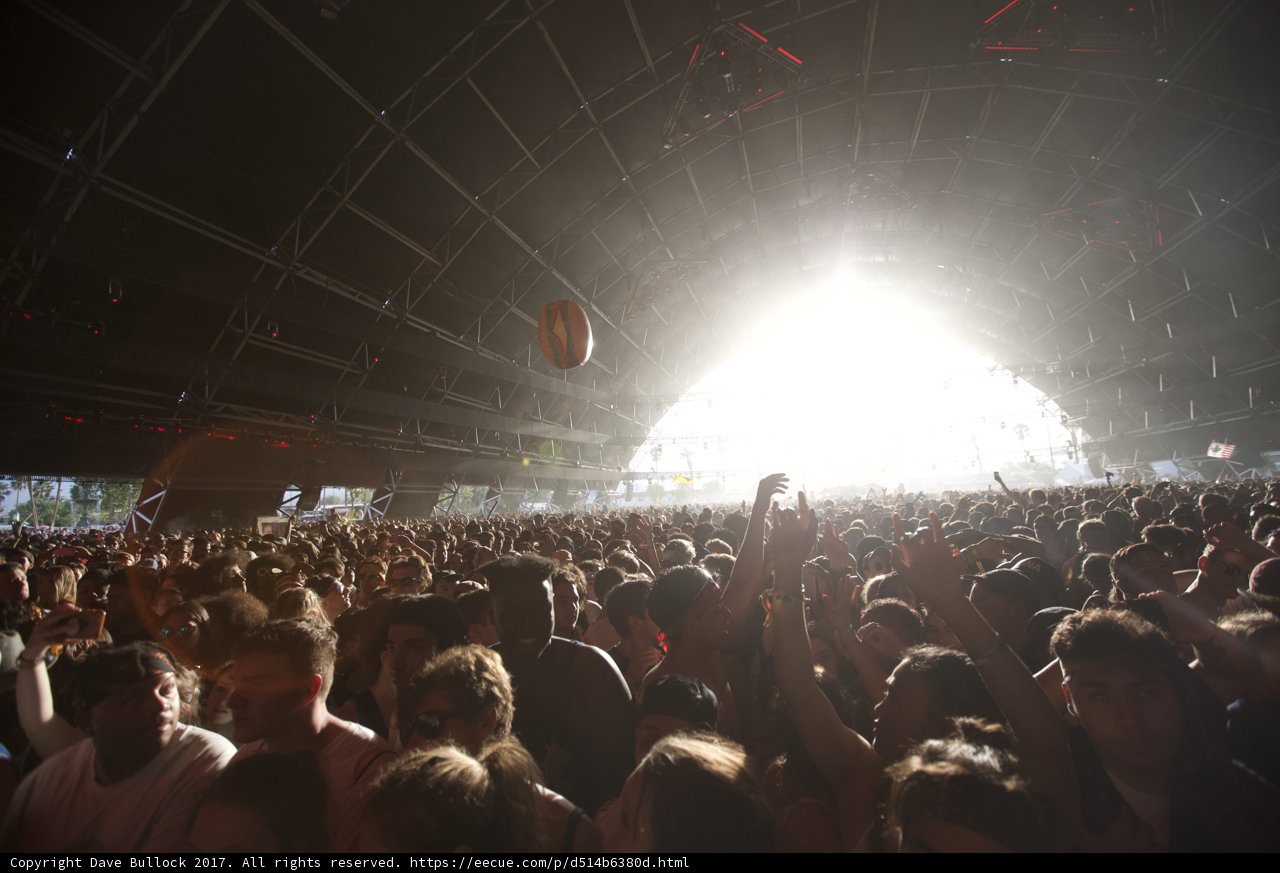 Sun-Kissed Concert Crowd