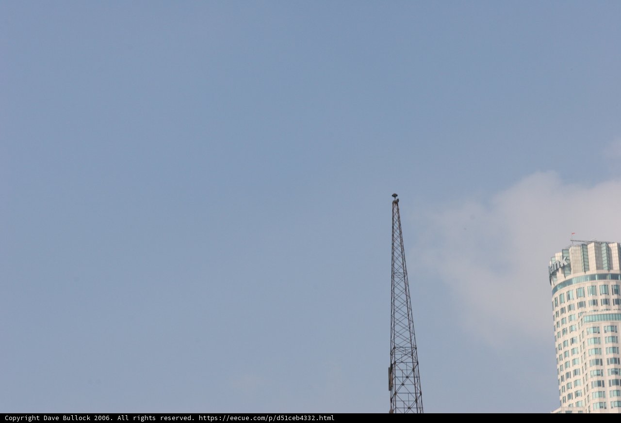Towering Skyscrapers Reach for the Sky