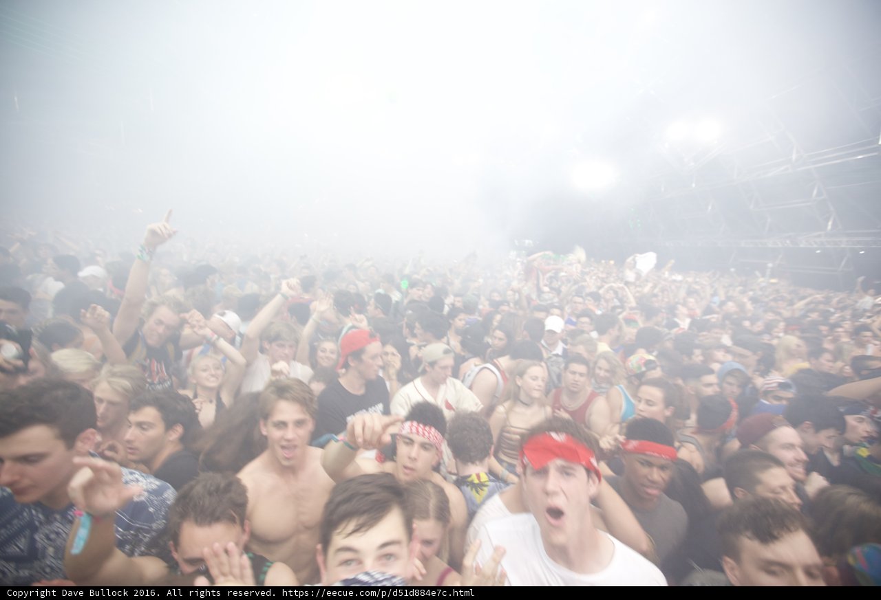 Rocking Out at Coachella