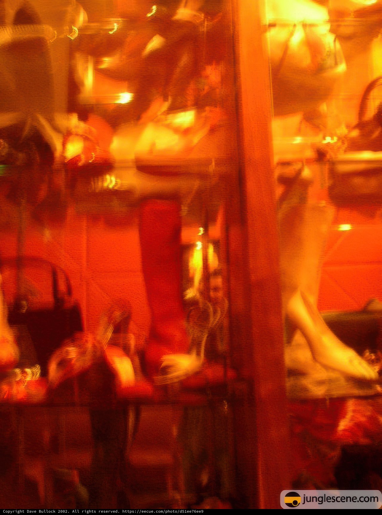 Shoe Display Case
