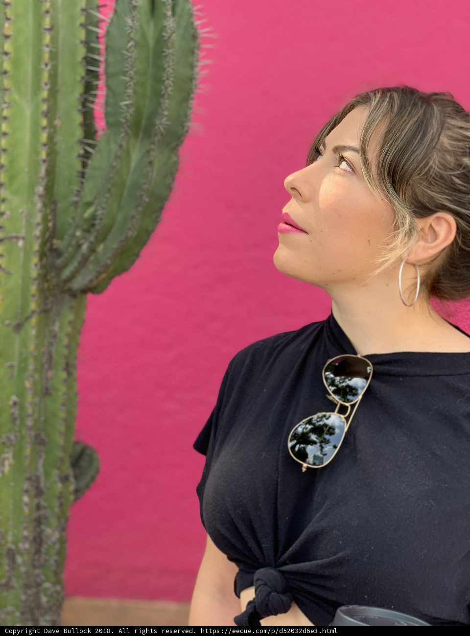 Desert Chic