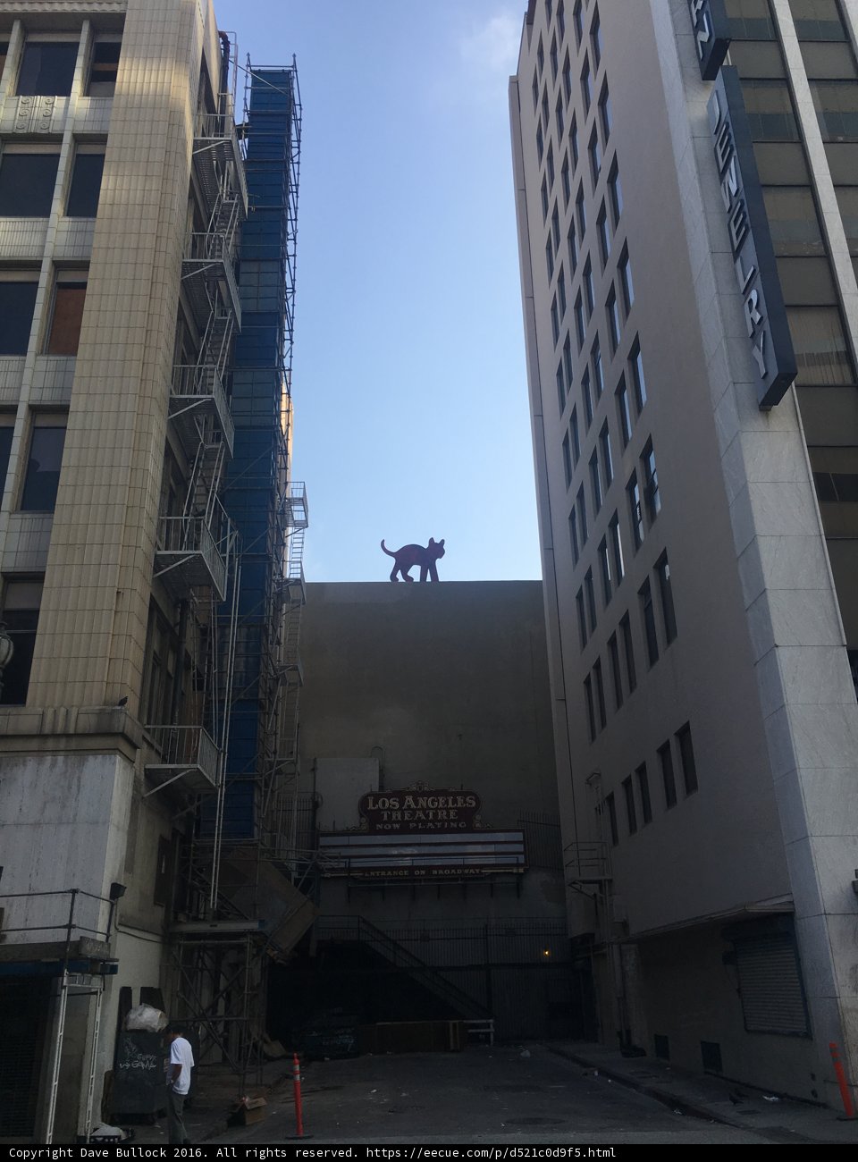 City Cat on Skyscraper