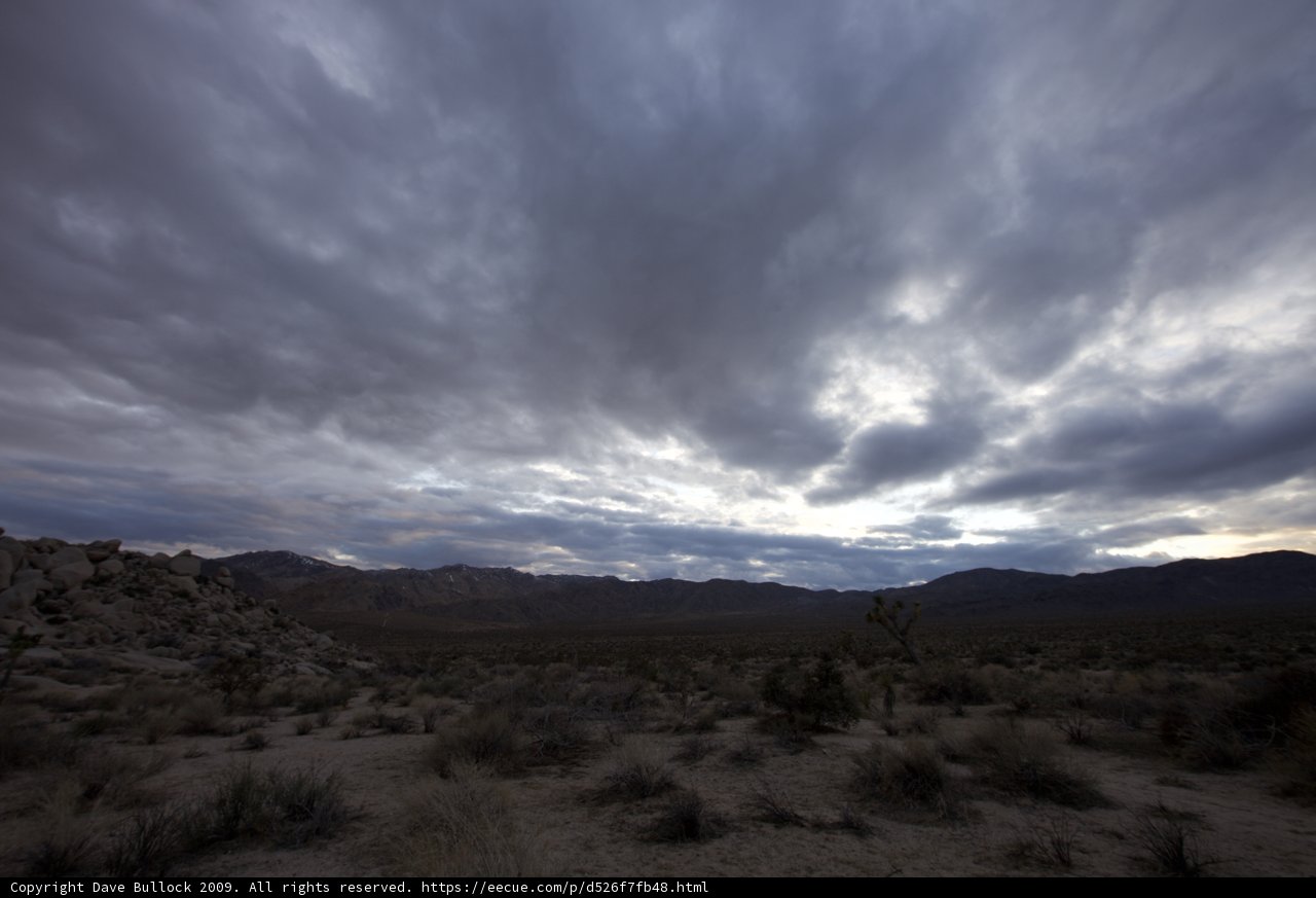Thundering Skies above the Joshua Tree