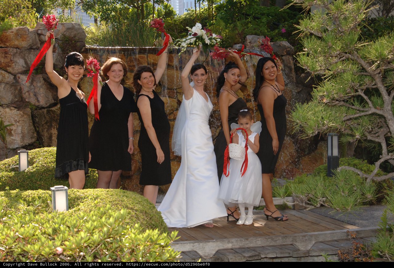 Joyful Bridal Party Celebrates at Garden Waterfall