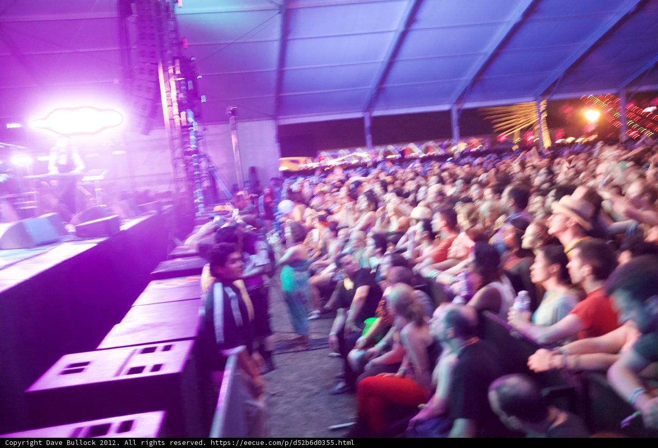 Coachella Crowd Vibes