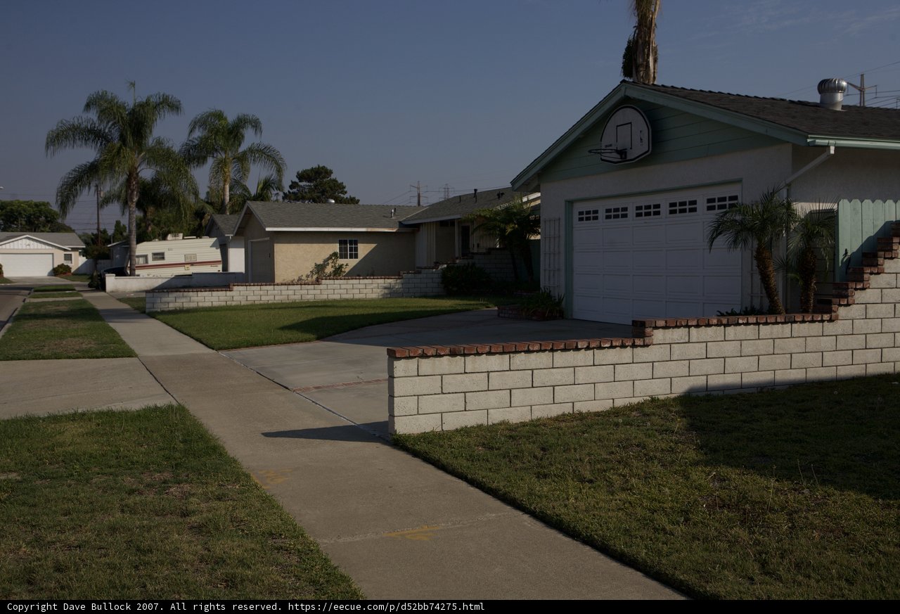 Welcome to the Suburban Oasis
