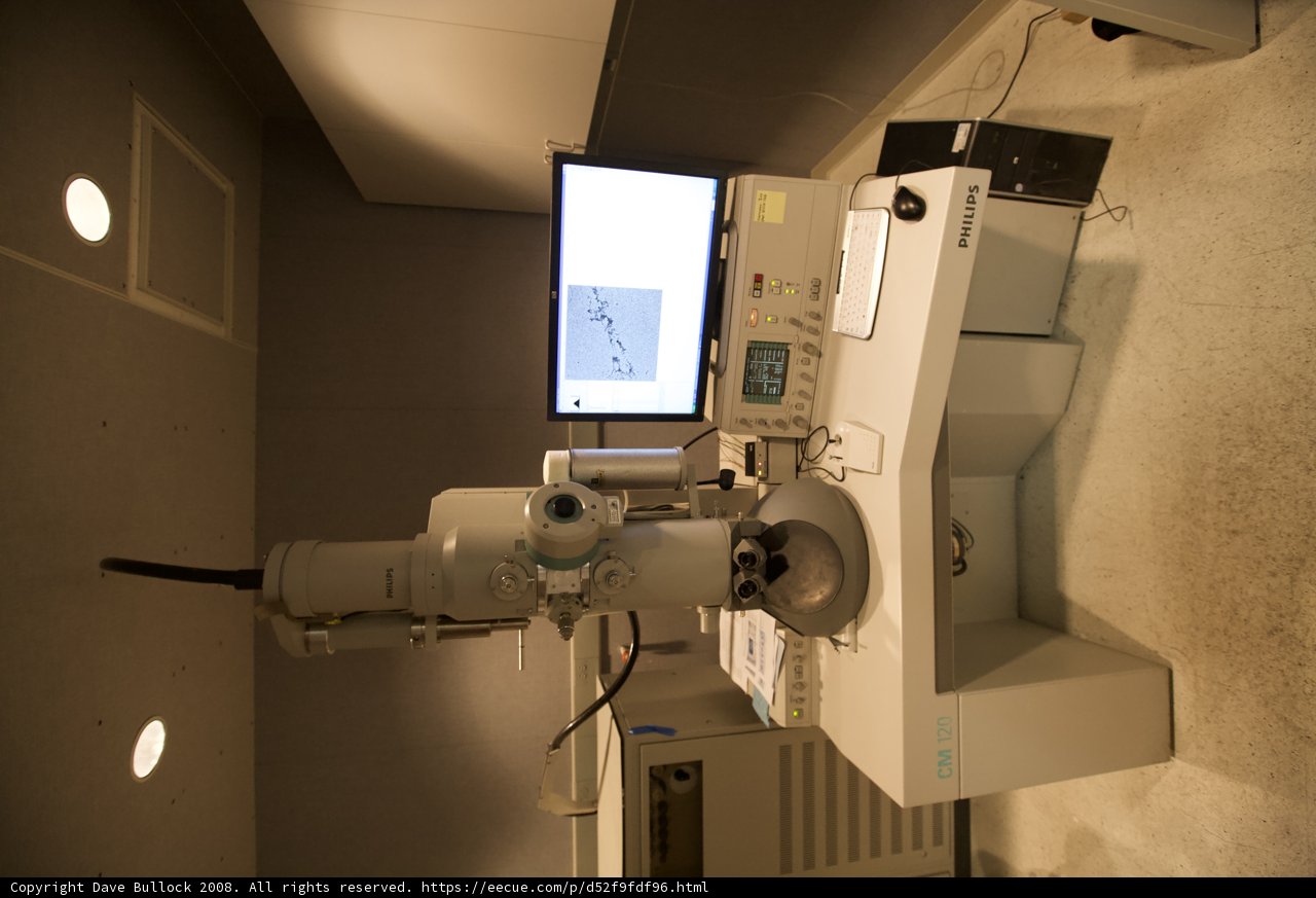 Microscopic Observations
